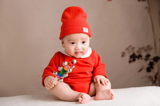 锡林郭勒6个月宝宝辅食做法